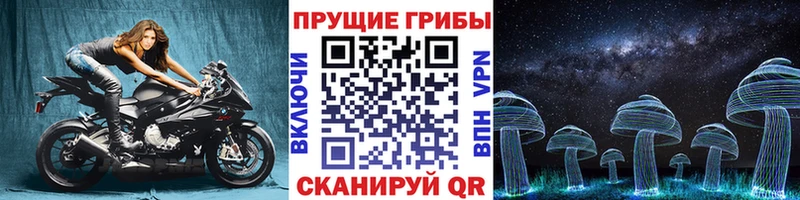 Псилоцибиновые грибы Magic Shrooms  наркошоп  Сухиничи 